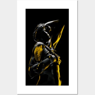 BLACK ZEBRA Posters and Art